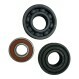 6024-2Z-VA208-SKF