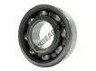 6204-RSH-SKF