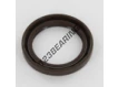 ASP-40X55X7-FPM