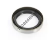 BC-49.21X68.26X12.70-NBR