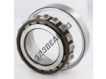 N211-ECP-SKF