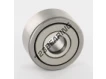 NATR10-PP