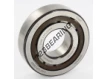 NJ306-ECP-SKF