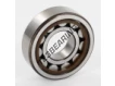 NUP204-ECP-SKF