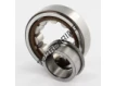 NUP204-ECP-SKF