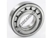 NUP208-ECJ-SKF