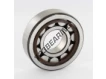 NUP305-ECP-SKF