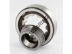 NUP305-ECP-SKF