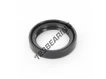 OAS-31X42X8-NBR