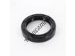 OAS-38X52X10-NBR