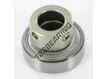 RAE17-NPP-FA106-INA