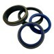 RDE-50X60X5-7-EPDM90