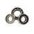 W619-6-X-2RS1-SKF